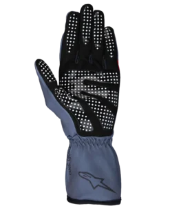 Gants Tech-1 K Race V2 Pure
