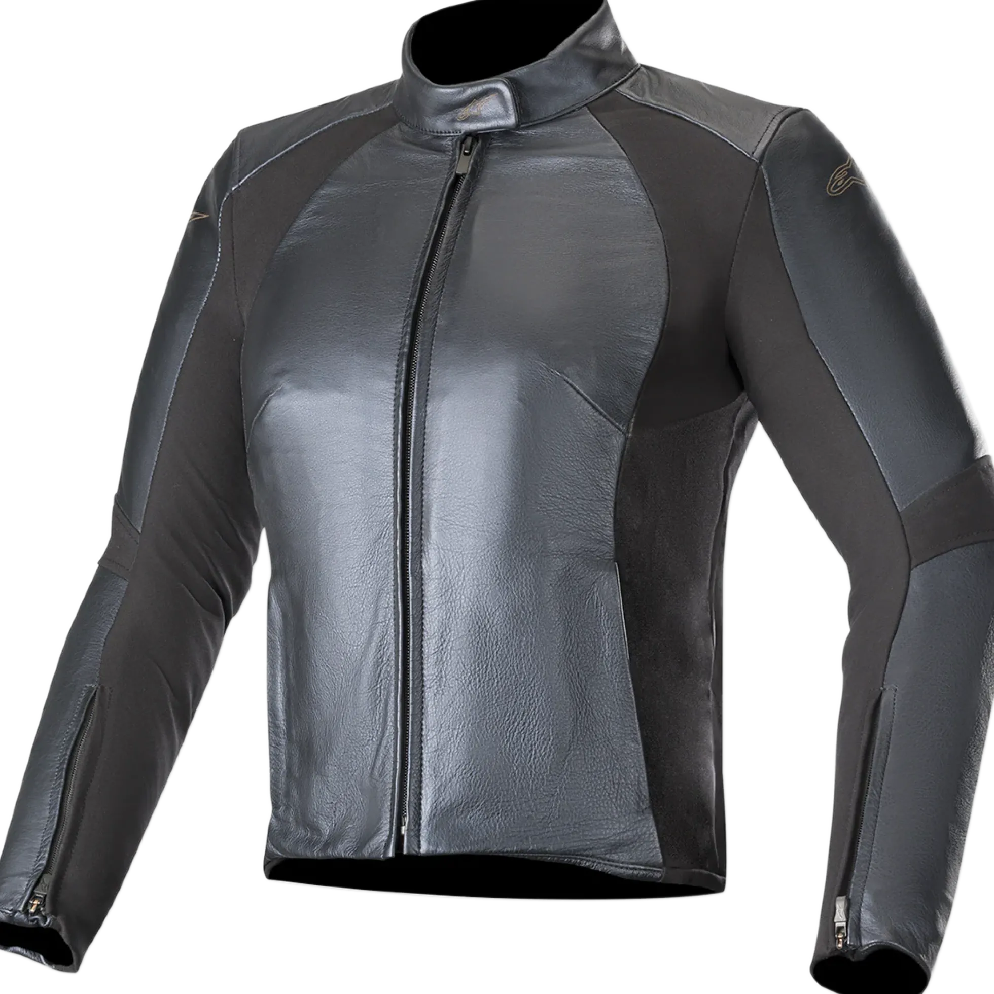 Veste En Cuir Stella Vika V2